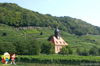 Kamelienhaus öffnet zur Kamelienblüte